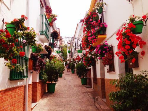 Apartamento Bahia De Casares