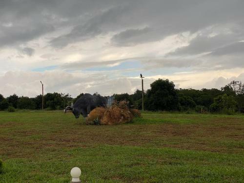 Hotel Sauveli Resort