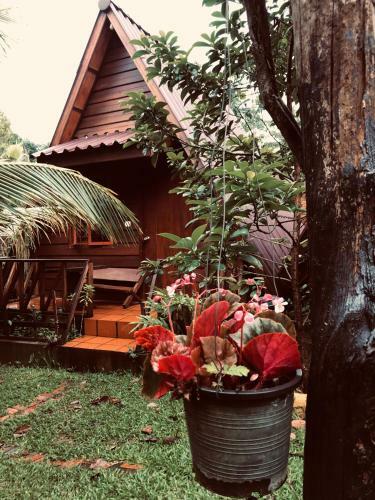 Hostal Mondulkiri Pizza Bungalows