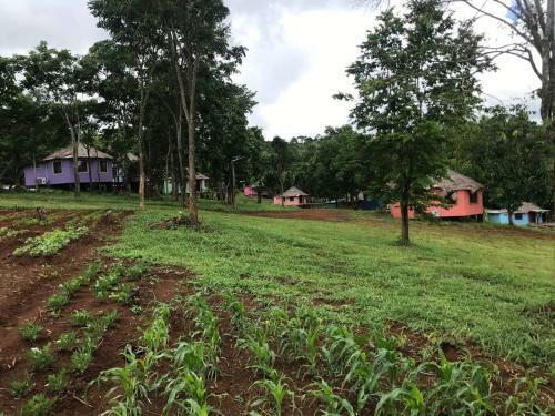 Hotel Gibbon Lodge