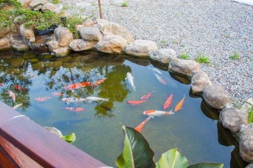 Yellow Mountain Homestay