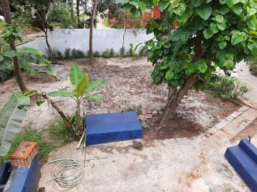 Villa Soares Stay Home - In The Lap Of Greenery
