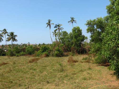 10) Spacious Serviced Villa Central Arpora & Wifi