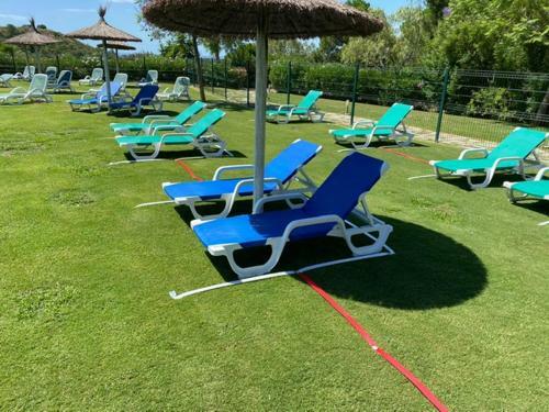 Apartamento En Magnifico Resort - Parque Botanico