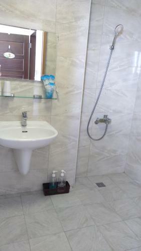 Elder Wheelchair B&B