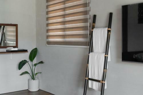 Man Living Bali Homestay
