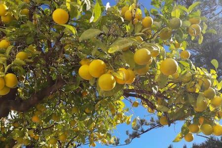 Apartamento La Casa Del Reloj