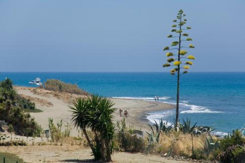 Heaven Beach Apartments, Apt 402