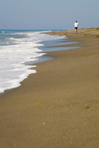 Apt 311 Heaven Beach Apartments, Guadalmansa Playa