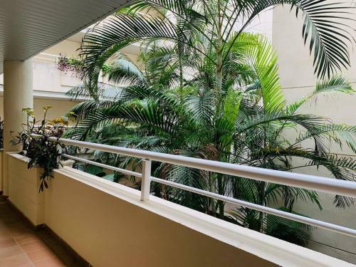Apartamento Espectacular Piso En Primera L�nea De Playa