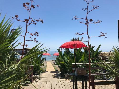 Marbella - Estepona Beach Frontline Apartment