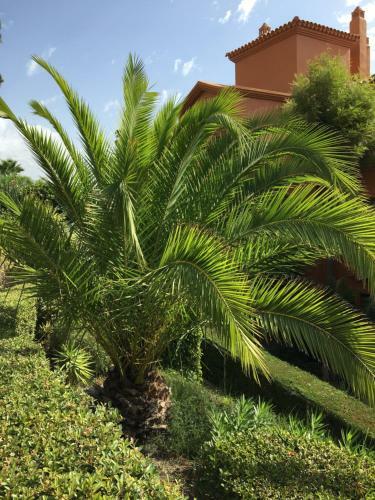 Marbella West Luxoury Apartment