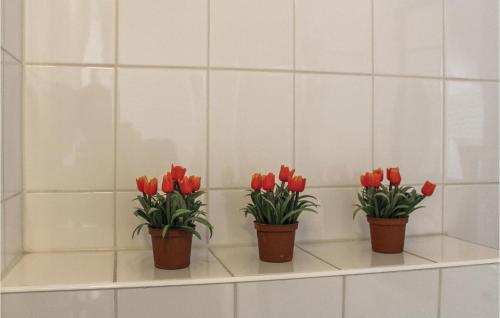 Holiday Home Bunschoten Viii
