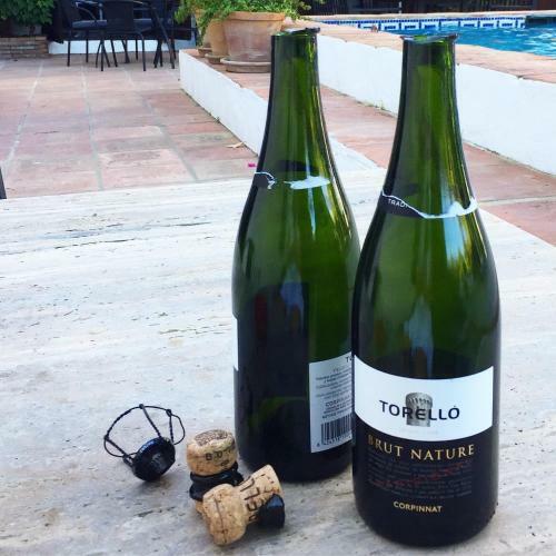 Hotel El Molino Estepona