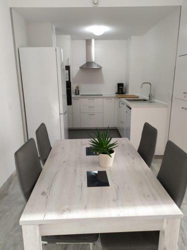 Apartamento Playa Escollera