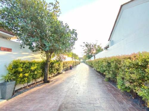 Areeca Pool Villa - Sha Plus
