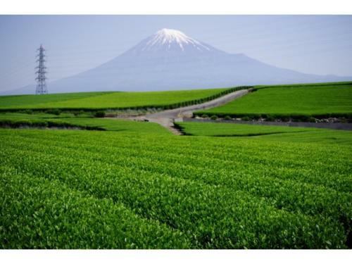 Goten Tomoe Residence - Vacation Stay 03992v