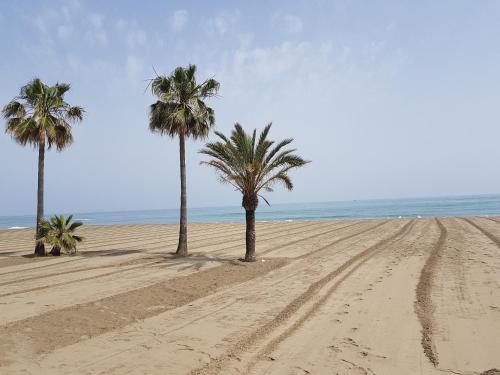Apartamento A 40m De La Playa, Parking Gratis