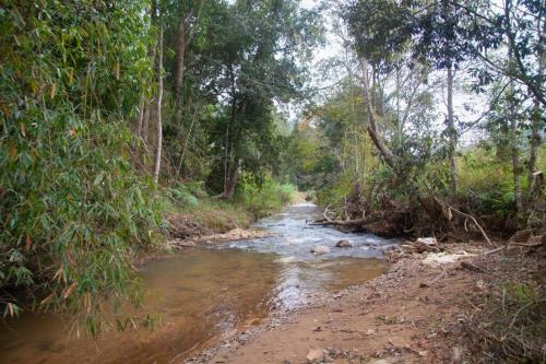Villa Dhalia Stream View Cottage