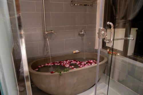 Shanti Wellness Sanctuary