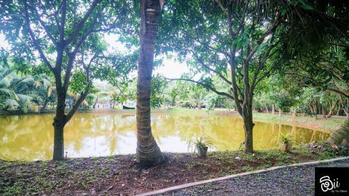 Hostal Oii By The Villuwa