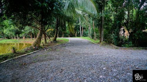 Hostal Oii By The Villuwa