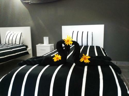 Apartamento Surf House La Palma