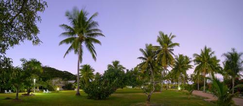 Hotel Musket Cove Island Resort