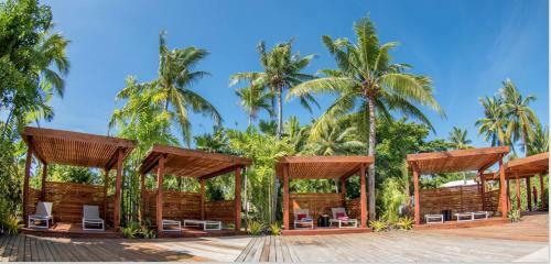 Hotel Musket Cove Island Resort