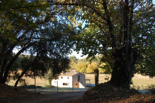 Agroturismo Finca El Zurrador
