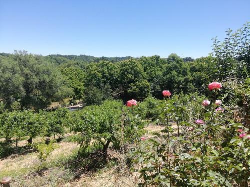 Finca El Palomar