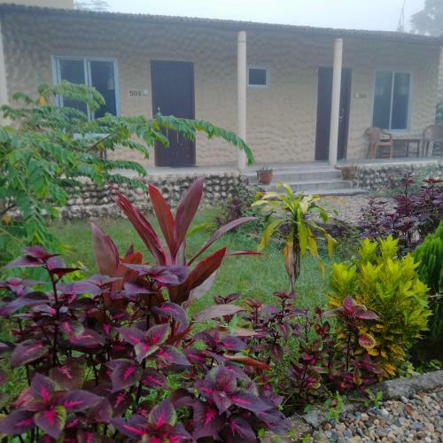 Hotel Tiger Tops Sauraha