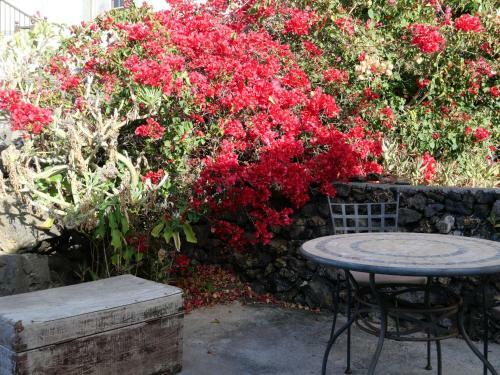 Casa Rural Los Llanillos