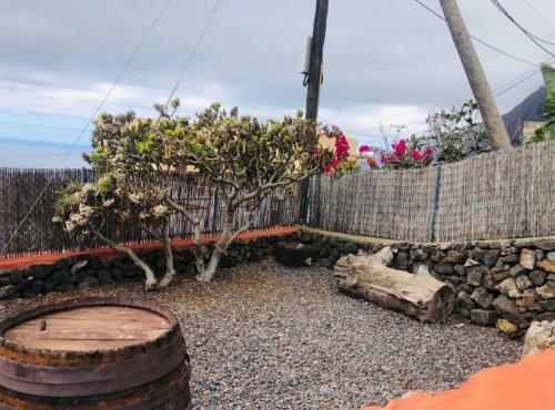 Vivienda Vacacional Tinganar 1501