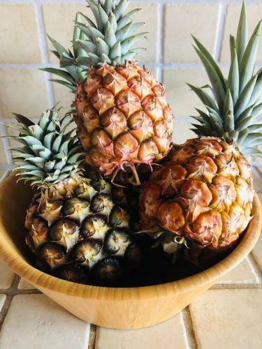 Vivienda Vacacional Tinganar 1501