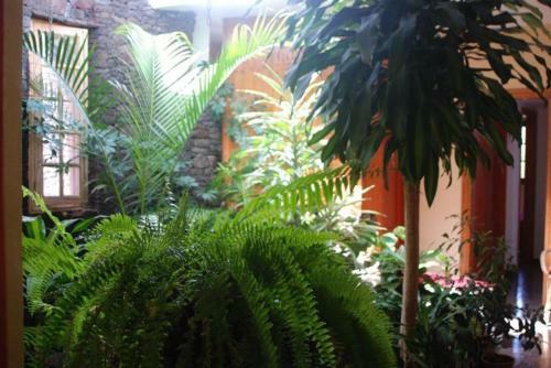 Vivienda Vacacional Casa Rosi