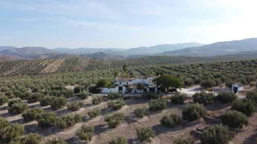 Casa De Familia Cortijo La Cubertilla