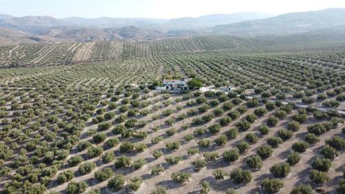 Casa De Familia Cortijo La Cubertilla