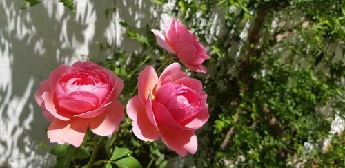 Bed & Breakfast Casa Rural Los Danzantes