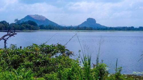 Green Village Homestay