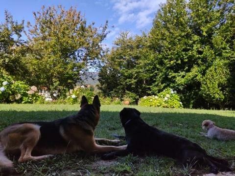 O Lughar Darriba Fogar Natural
