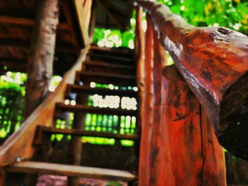 Hotel Dambulla Wilderness World