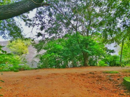 Hotel Dambulla Wilderness World