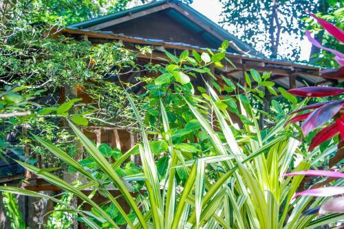 Hotel Dambulla Wilderness World