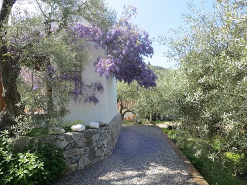 Villa Colores En El Viento