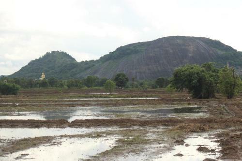 The Village Tourist Resort
