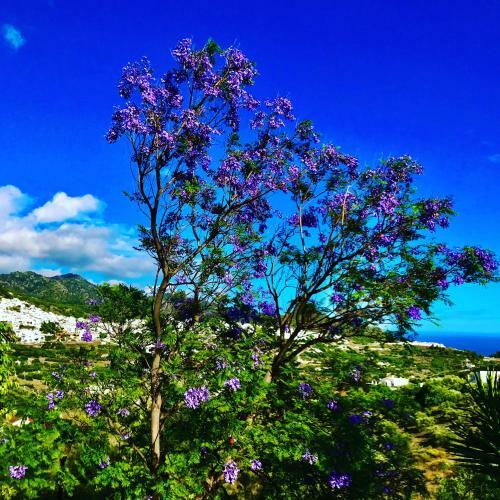 Villa Alquer�a Del Duende
