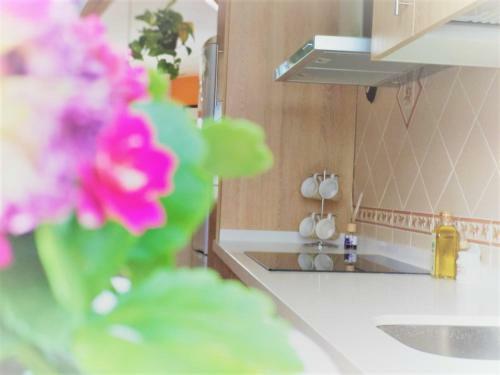 Apartamento Casa Herminia