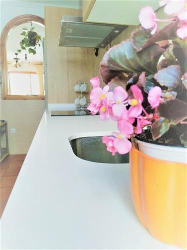 Apartamento Casa Herminia