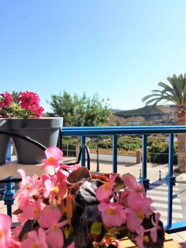 Apartamento Casa Herminia